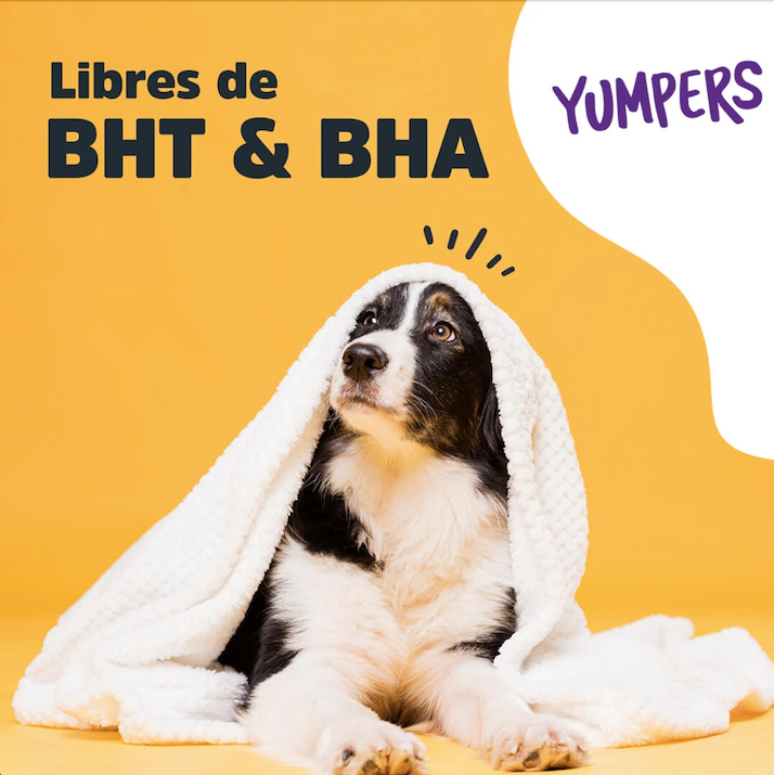 Premios para perro / Yumpers Res Trick and Treats.