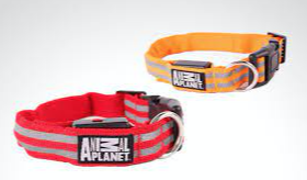 Collar con luz Led Animal Planet