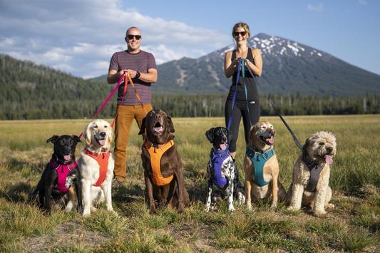 Collar para Perros Front Range® Hibiscus Pink Ruffwear (4665069011080)