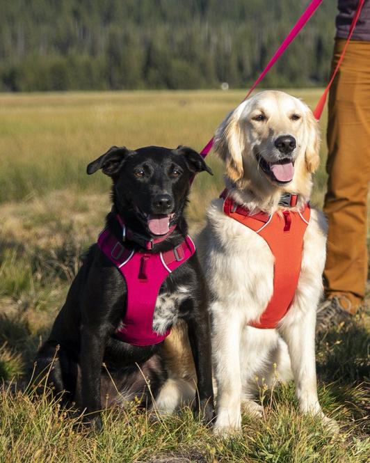 Collar para Perros Front Range® Twilight Gray Ruffwear (4665061310600)