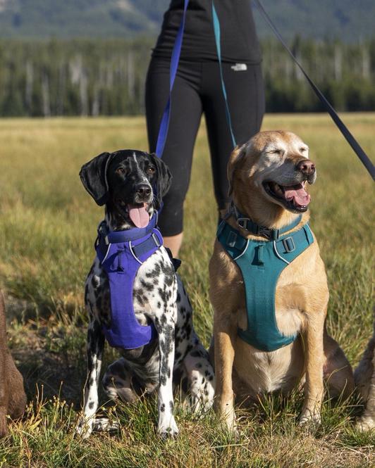 Collar para Perros Front Range® Red Sumac Ruffwear (4665078874248)