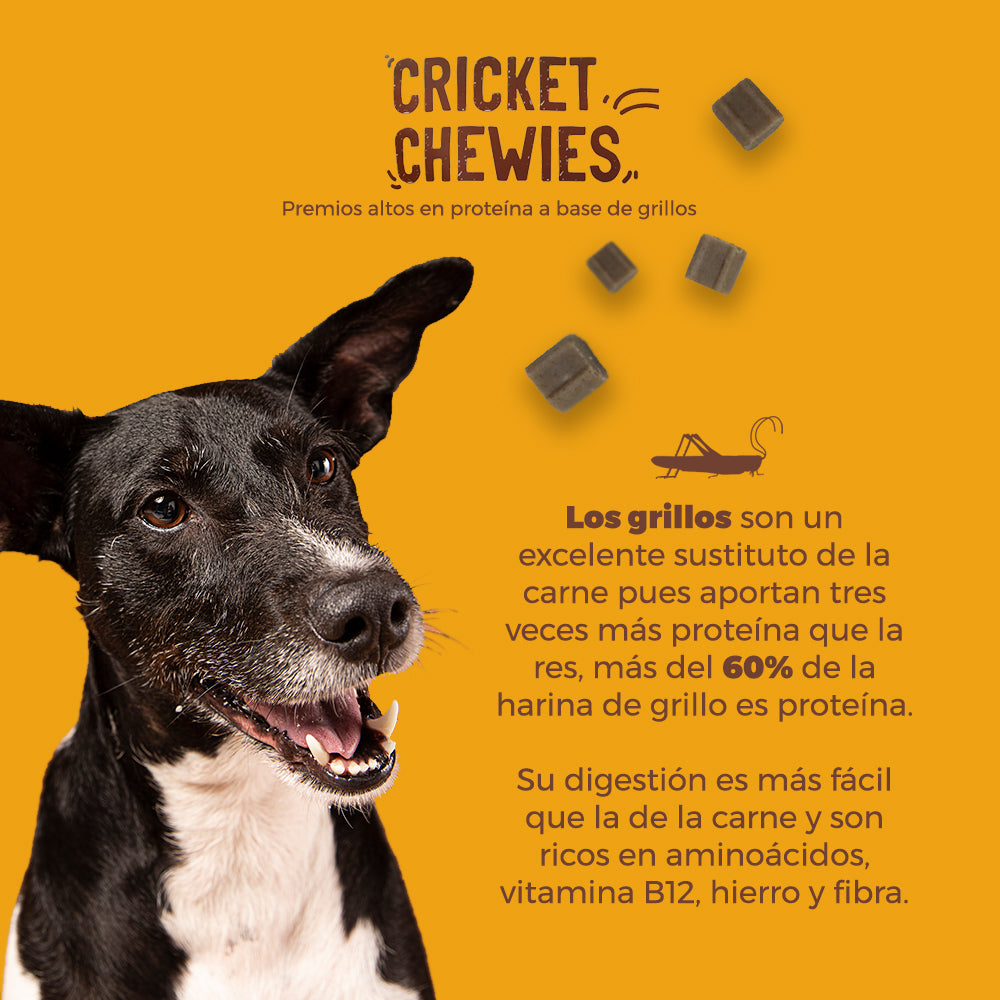 Premios Para Perros / Petit monsters / Cricket Chewies CriCreats, Altos en Proteínas A Base De Grillos. 85 g.