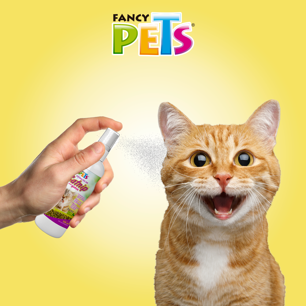 Catnip en espray para gatos / Fancy Pets / 125 ml