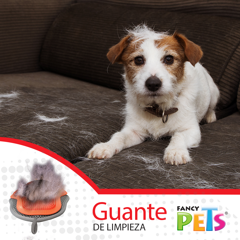 Guante para cepillado 3 en 1 / Fancy Pets