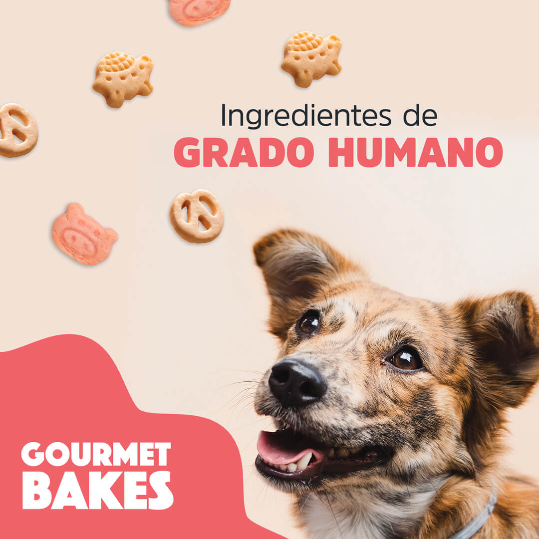 Premios para perro / Sabor cerdo agridulce