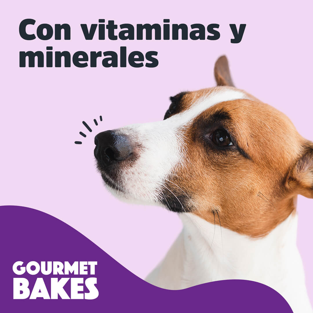 Premios para perro / Sabor cerdo agridulce