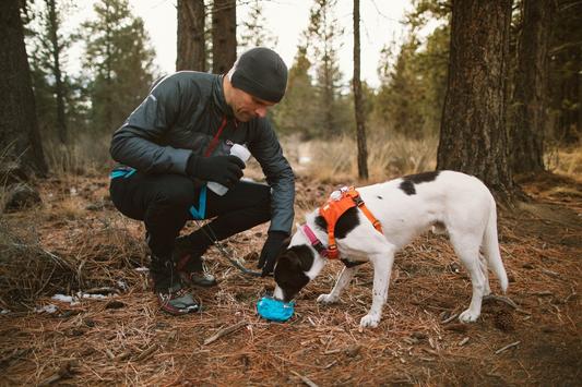 Trail Runner Bowl® Plato Ultra Portátil y Colapsable Ruffwear® (4665011929224)