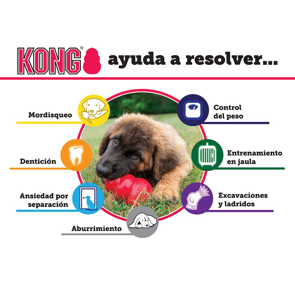 Kong Puppy