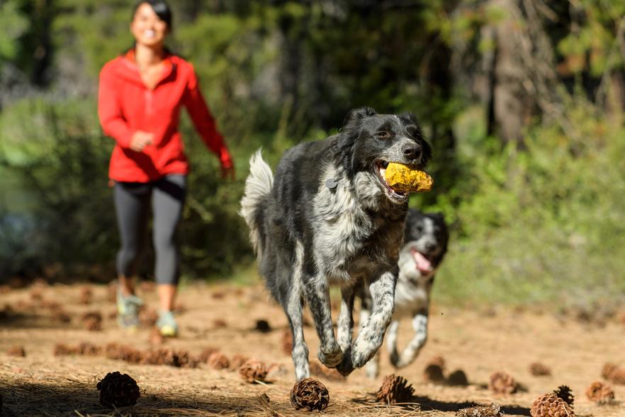 Gnawt-A-Cone® Ruffwear® (4664967725192)