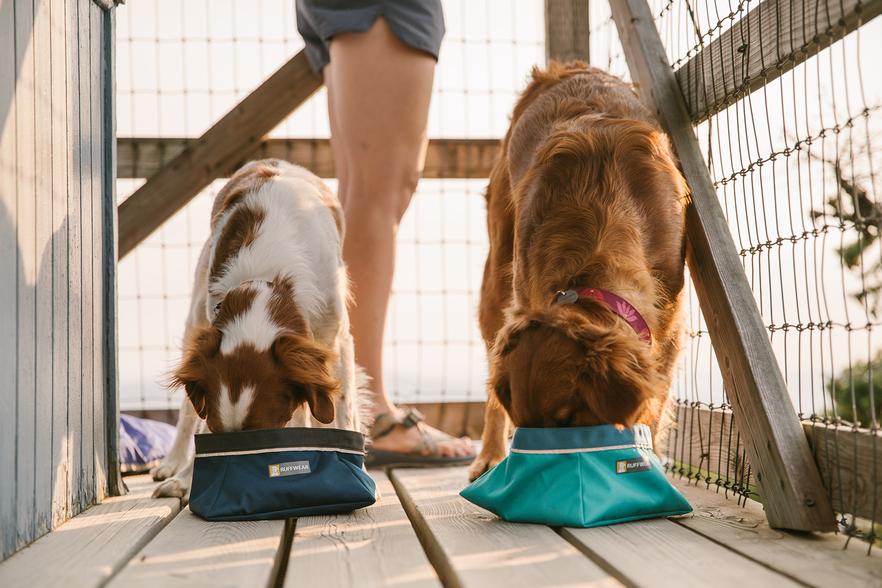 Quencher® Plato Portátil y Colapsable para Alimentos y Agua Ruffwear (4664991744136)