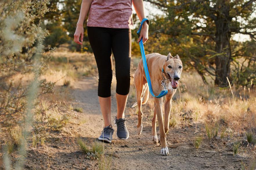 Correa para Perros Crag® Leash Blue Dusk Ruffwear (4666044973192)