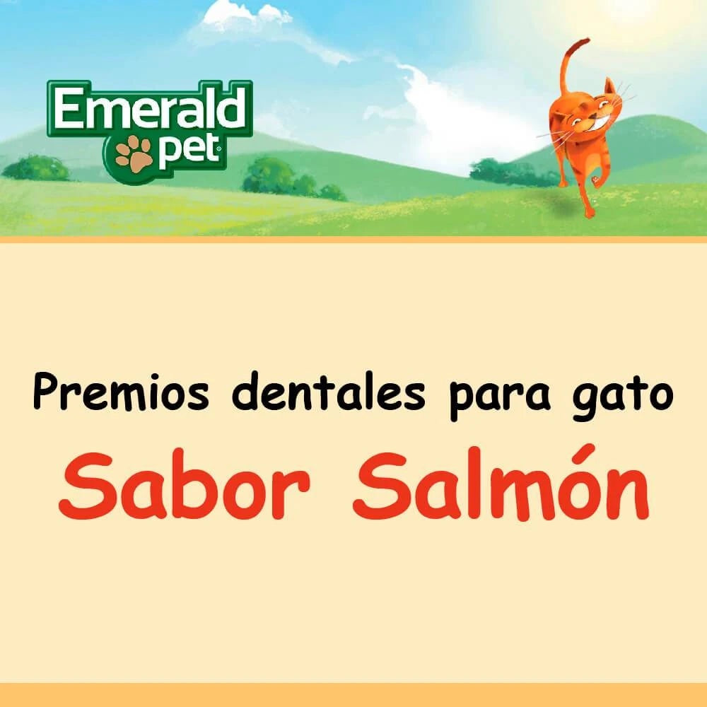 Premios para gato / Sabor salmón