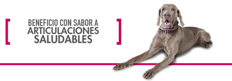 Premios para perro Nupec / Joint Care  / 180 gr