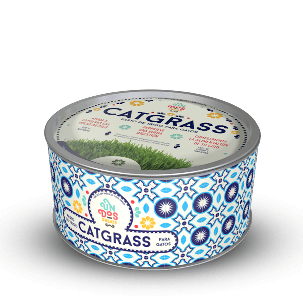 Cat Grass / pasto para gatos