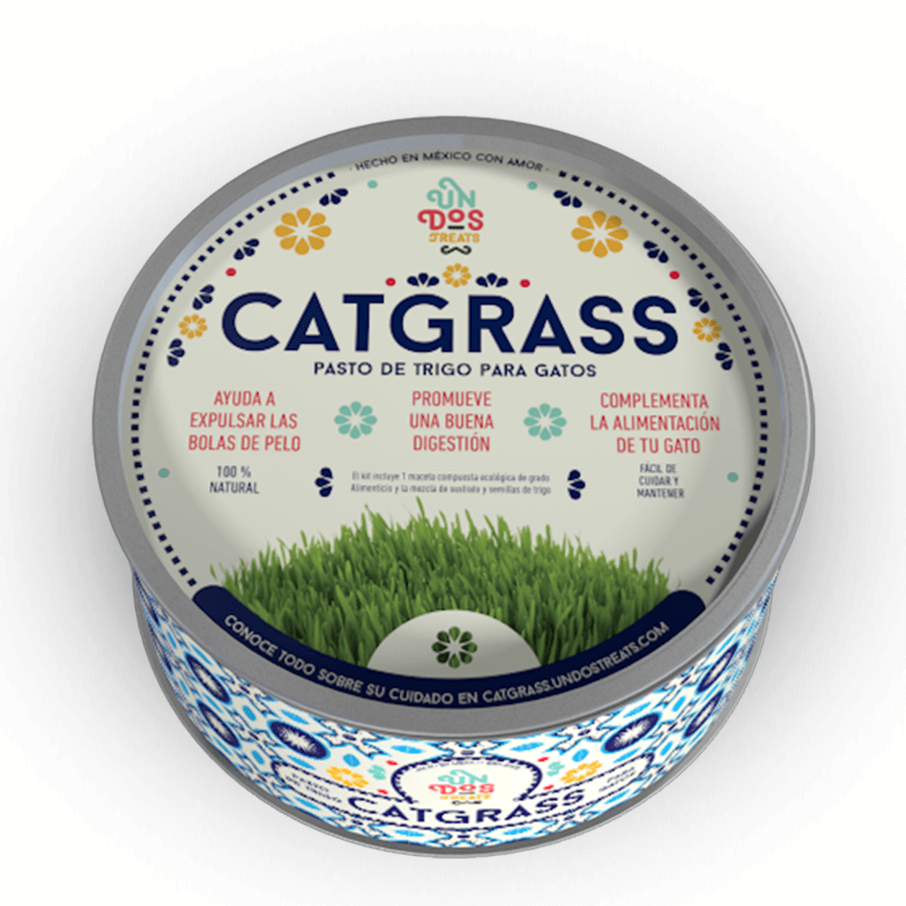 Cat Grass / pasto para gatos