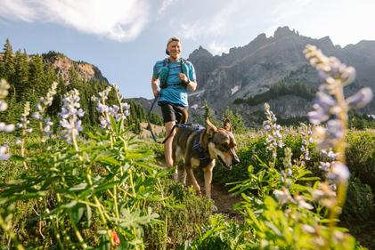 Pechera Front Range Harness® Huckleberry Blue de Ruffwear (4664714297480)