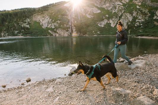 Correa para Perros Front Range™ Leash Tumalo Teal Ruffwear (4666081247368)