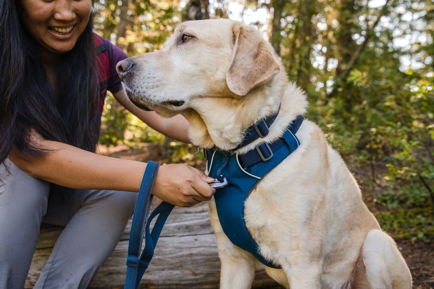 Pechera Front Range Harness® Blue moon