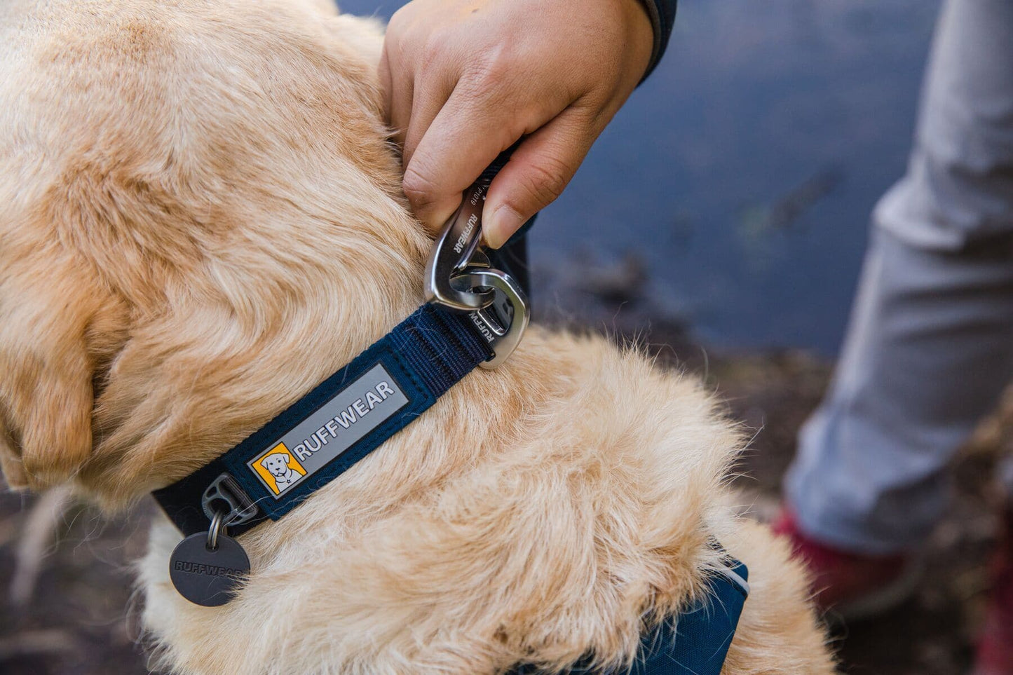 Collar para Perros Front Range® Blue Moon