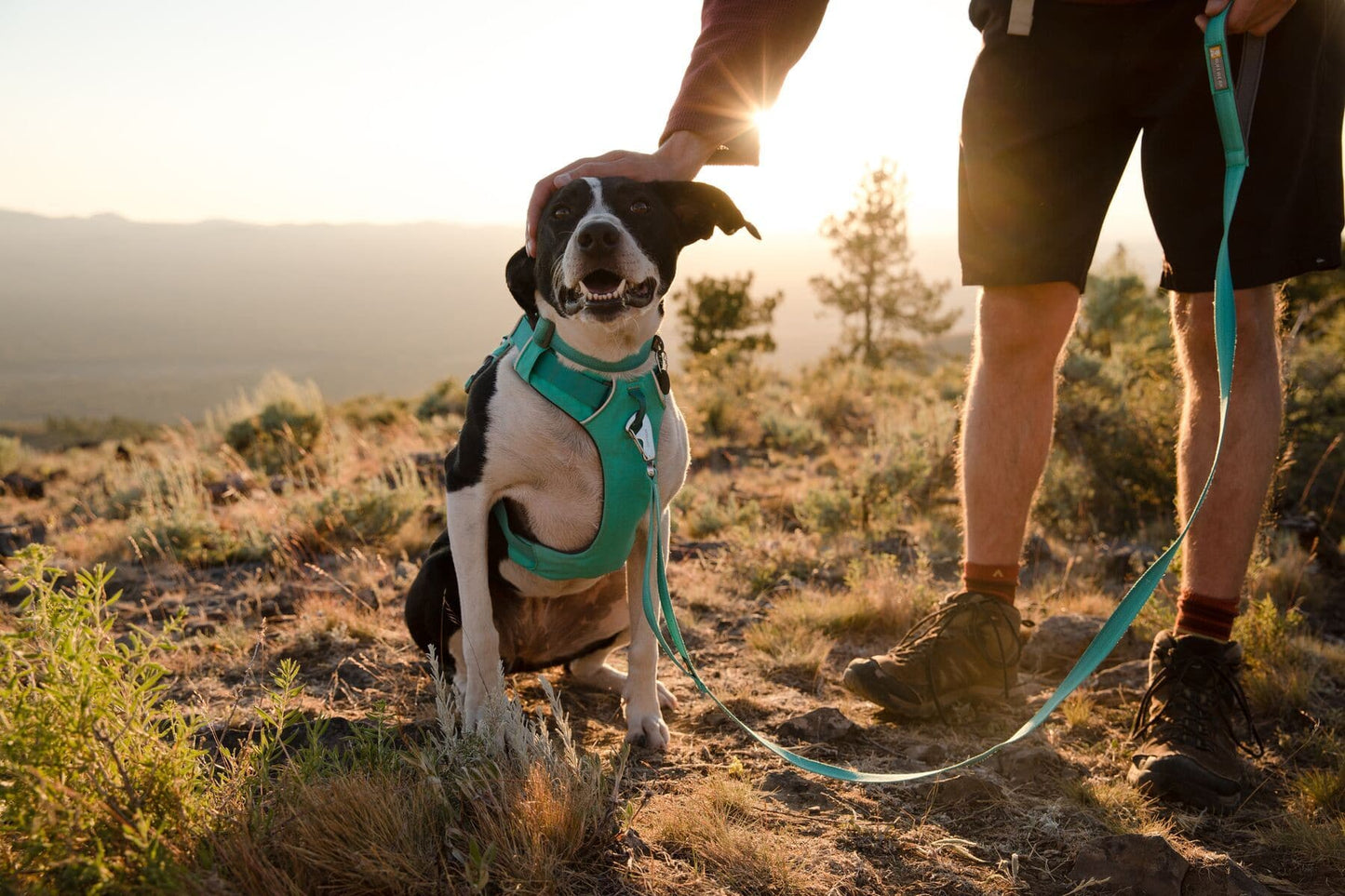 Pechera Front Range Harness® Aurora Teal