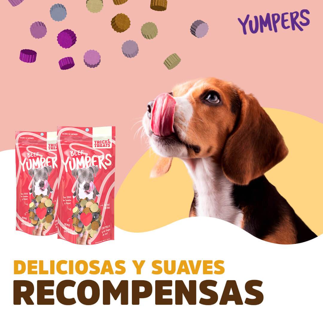 Premios para perro / Yumpers Res Trick and Treats.