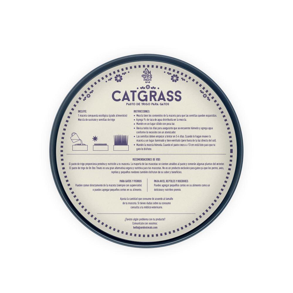 Cat Grass / pasto para gatos