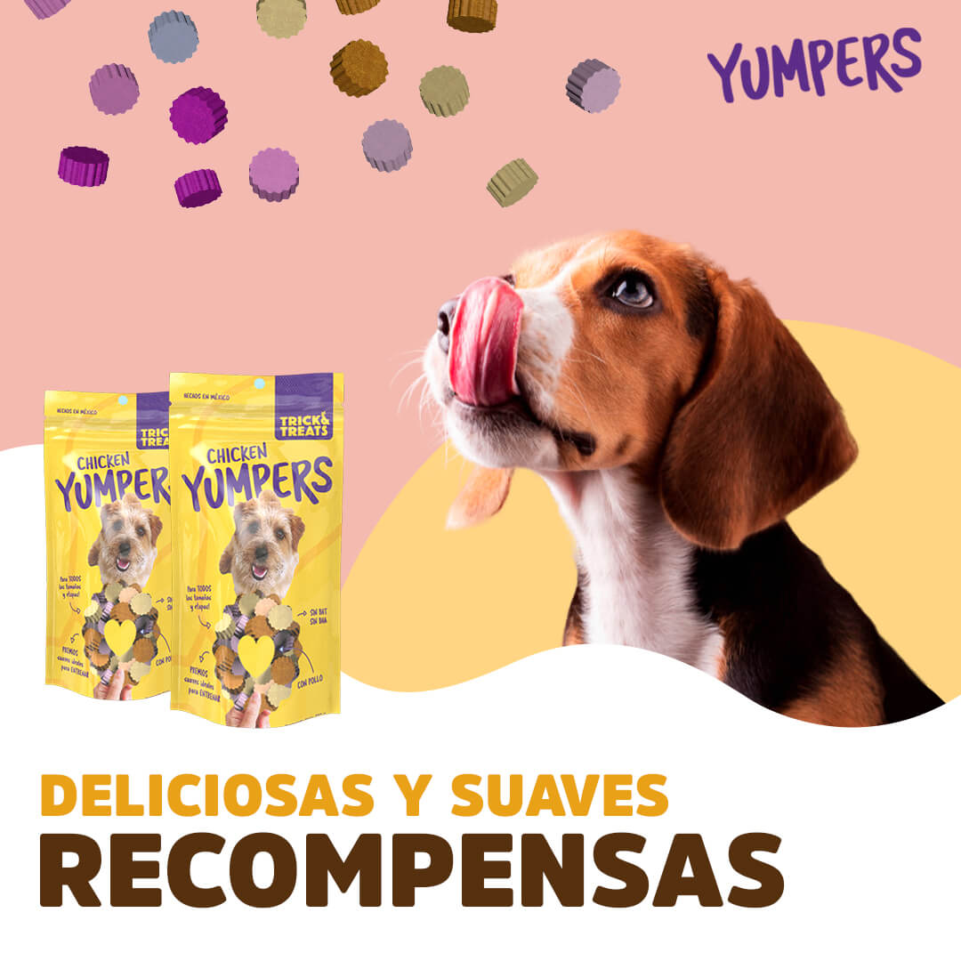 Premios para perro / Yumpers sabor pollo