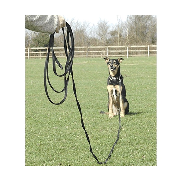 Correa larga entrenamiento / PetSafe / 4.5 m