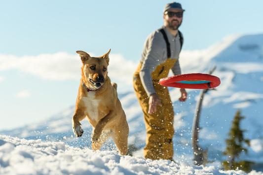 Hydro Plane™ Disco para perros Blue Atoil Flota en el Agua!! Ruffwear® (4664944984200)