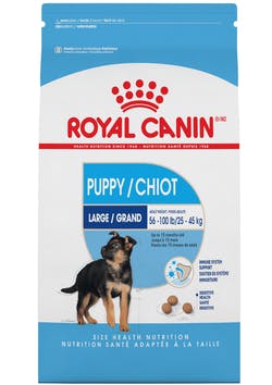 Royal Canin Cachorro Raza grande (5782322544807)