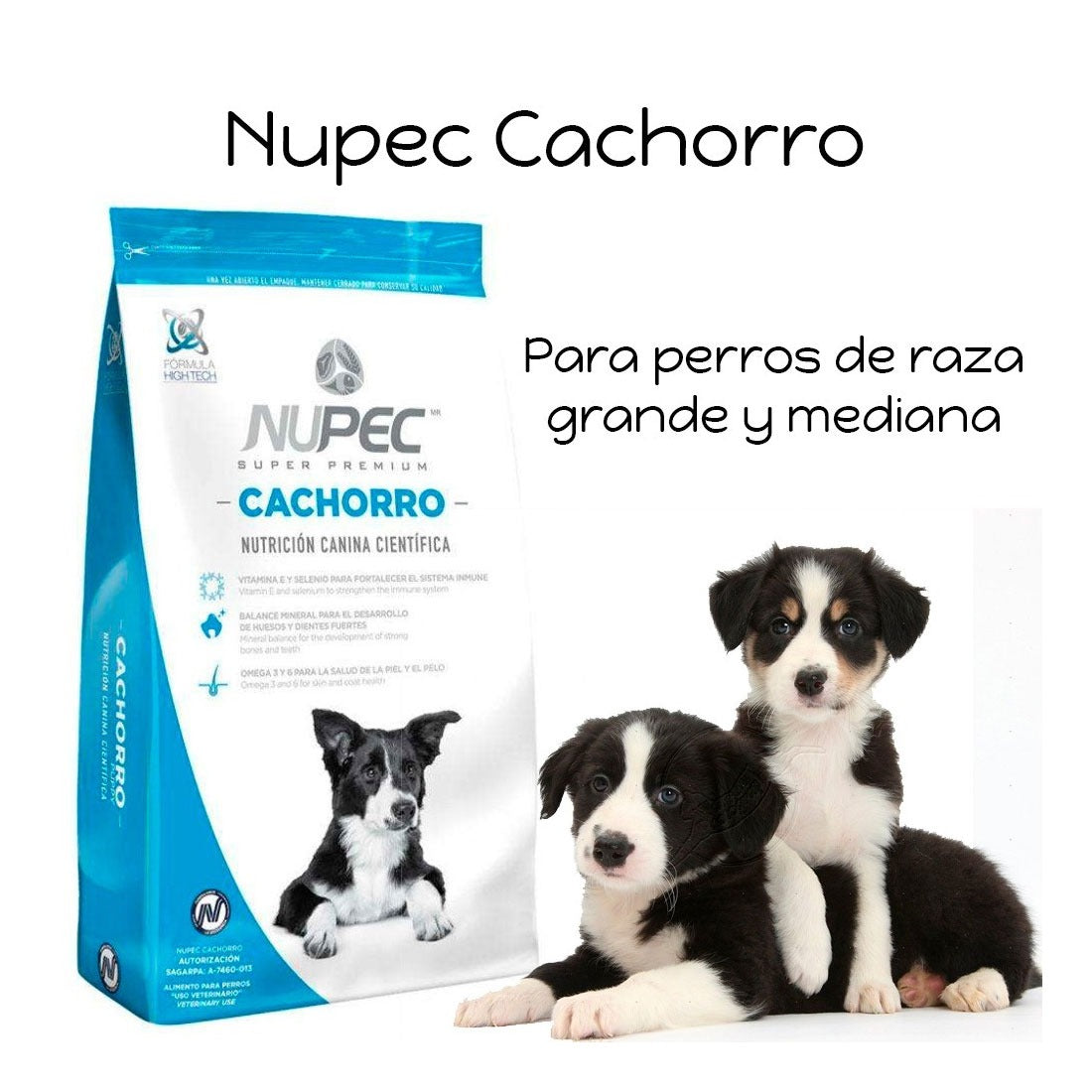 Nupec Cachorros (1895523319874)