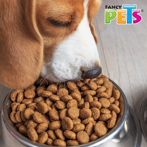 Plato de acero inoxidable para perro 32 oz (5613066780839)