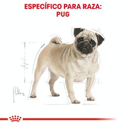 Royal Canin Pug Carlin Adulto (5782316220583)