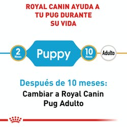 Royal Canin Pug Carlin Cachorro (5782307700903)