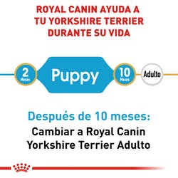 Royal Canin Yorkshire Terrier Cachorro (5782299902119)