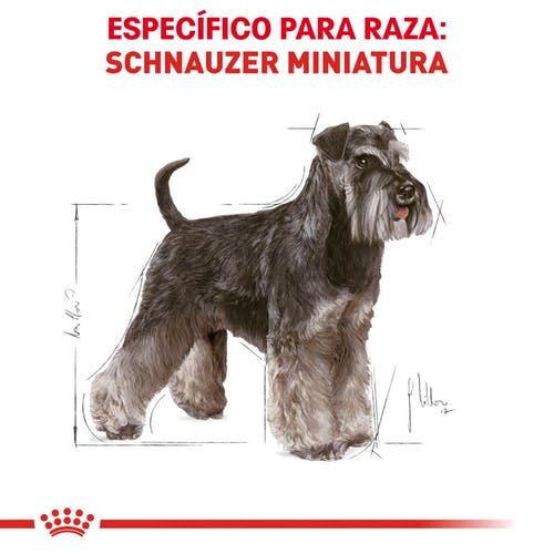 Royal Canin Schnauser