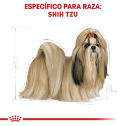 Royal Canin Shih Tzu Adulto (5782265036967)