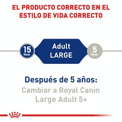 Royal Canine Adulto raza grande (5782487236775)