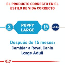 Royal Canin Cachorro Raza grande (5782322544807)