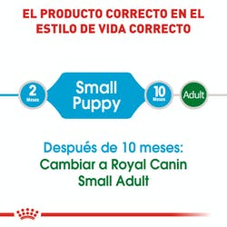 Royal Canin Puppy small (5782219423911)