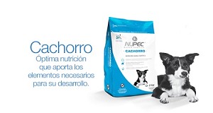 Nupec Cachorros (1895523319874)