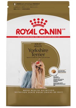 Royal Canin Yorkshire Terrier Adulto (5782304063655)